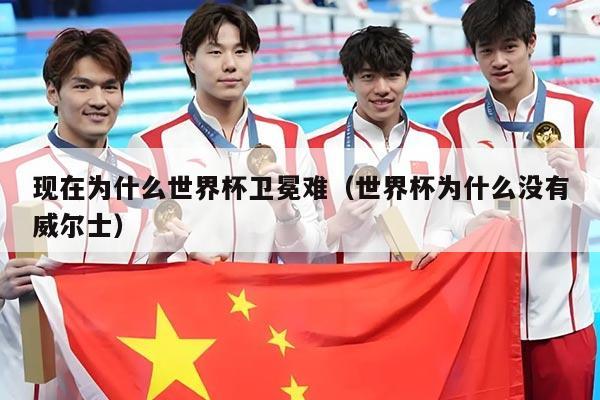 现在为什么世界杯卫冕难（世界杯为什么没有威尔士）