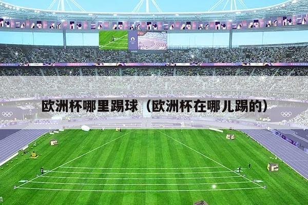 欧洲杯哪里踢球（欧洲杯在哪儿踢的）